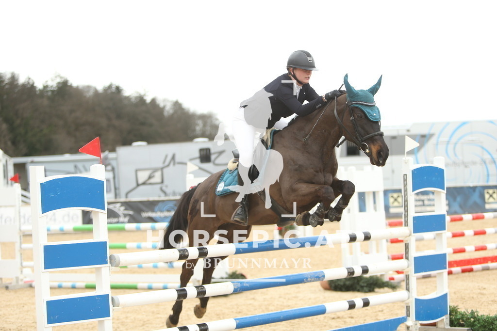 DL2Q7335 | Willkommen bei Brunnmayr - Design & Fotografie – Ihrem Spezialisten für Reitturniere und Pferdeveranstaltungen in Oberösterreich, Salzburg und Bayern! Seit über 17 Jahren sind wir leidenschaftlich dabei.