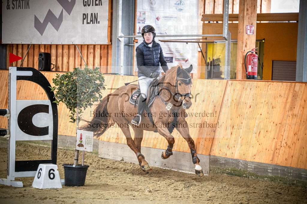 DOS_0071 | Entdecke hochwertige Reitturnierfotos von Foto Oger. Professionell, emotional und authentisch – jetzt Lieblingsmomente im Shop bestellen.Deutschlandweite Turnierfotografie. - Realisiert mit Pictrs.com