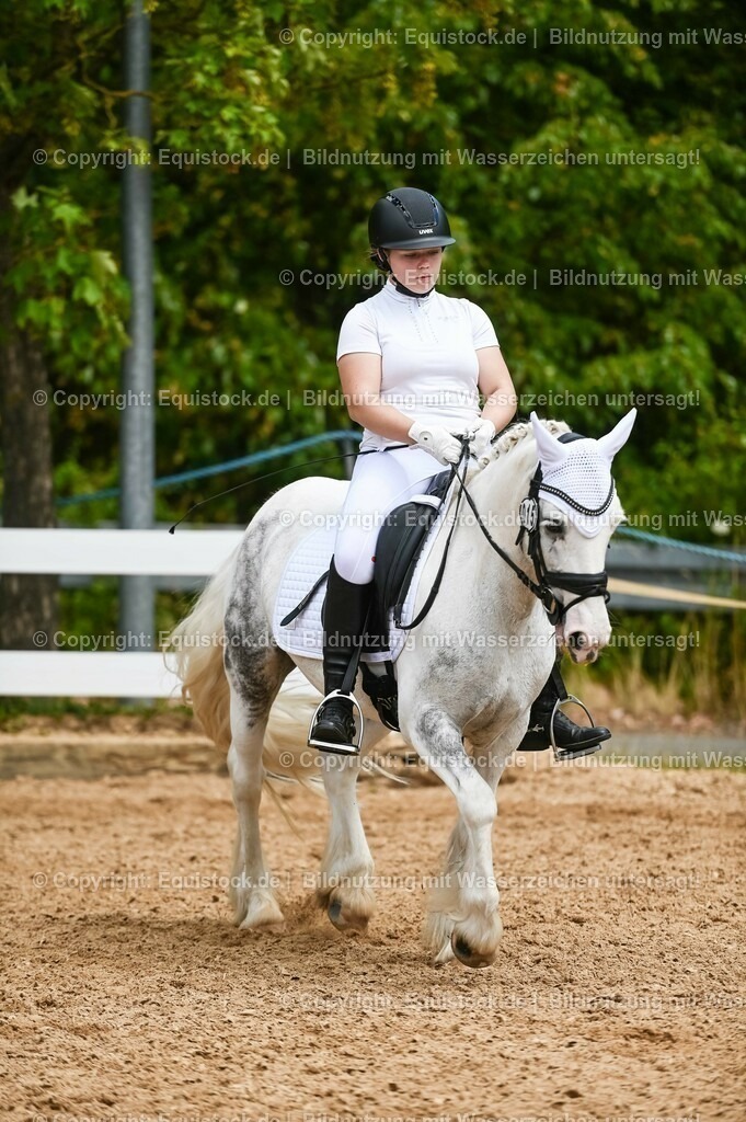 20230715_05_Dressurprüfung Kl.A++_0250 | equistock