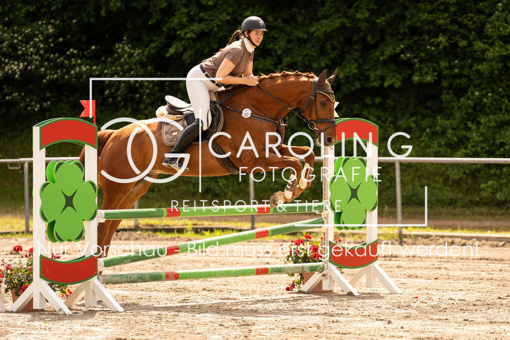 DSC02344 | Carolin Gieschke