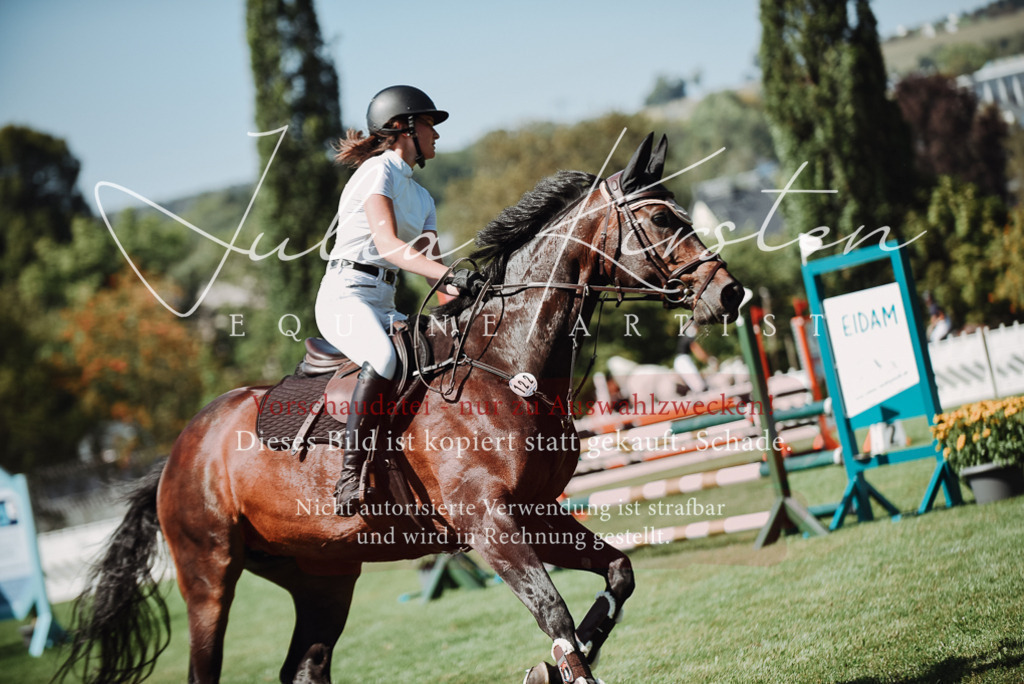 DSC_3242 | Pferde- und Turnierfotografie in Westsachsen. Pferdeportraits, Auftragszeichnungen und intuitive Kunst.