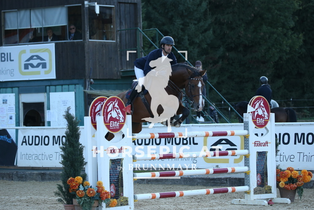 DL2Q4533 | Willkommen bei Brunnmayr - Design & Fotografie – Ihrem Spezialisten für Reitturniere und Pferdeveranstaltungen in Oberösterreich, Salzburg und Bayern! Seit über 17 Jahren sind wir leidenschaftlich dabei.