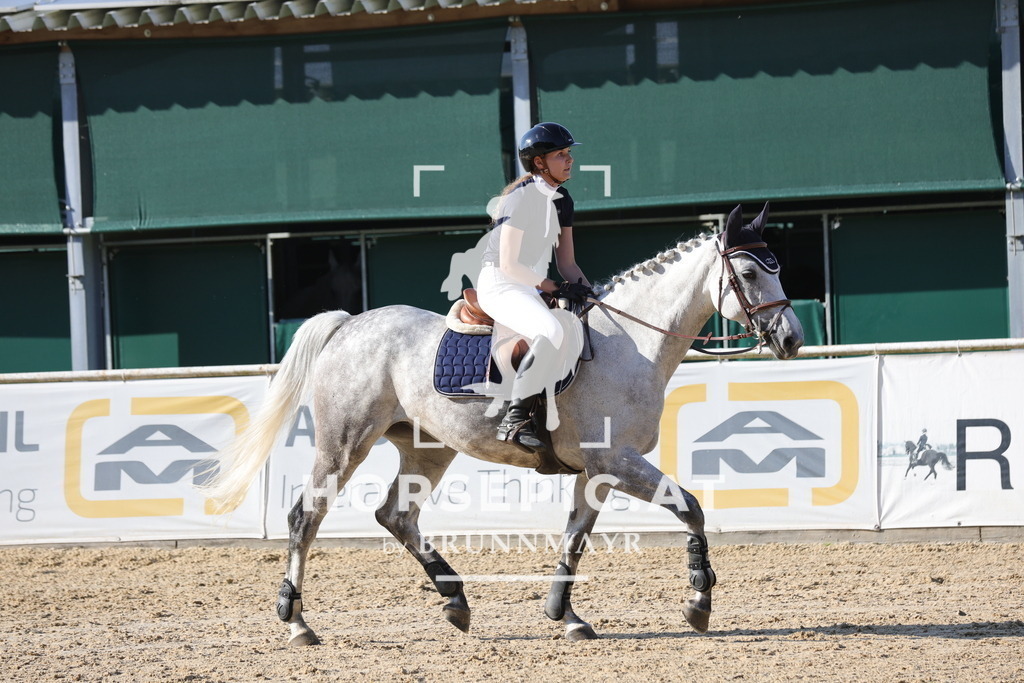 0P6A2139 | Willkommen bei Brunnmayr - Design & Fotografie – Ihrem Spezialisten für Reitturniere und Pferdeveranstaltungen in Oberösterreich, Salzburg und Bayern! Seit über 17 Jahren sind wir leidenschaftlich dabei.
