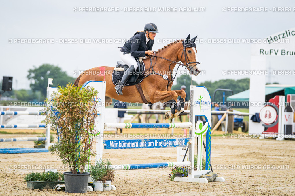 DSC02596 | Pferdegrafie