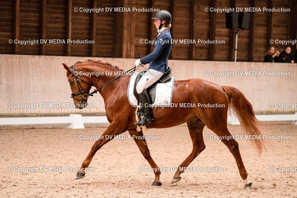 Dressur Tag 2-211 | dv-media-shop - Realisiert mit Pictrs.com