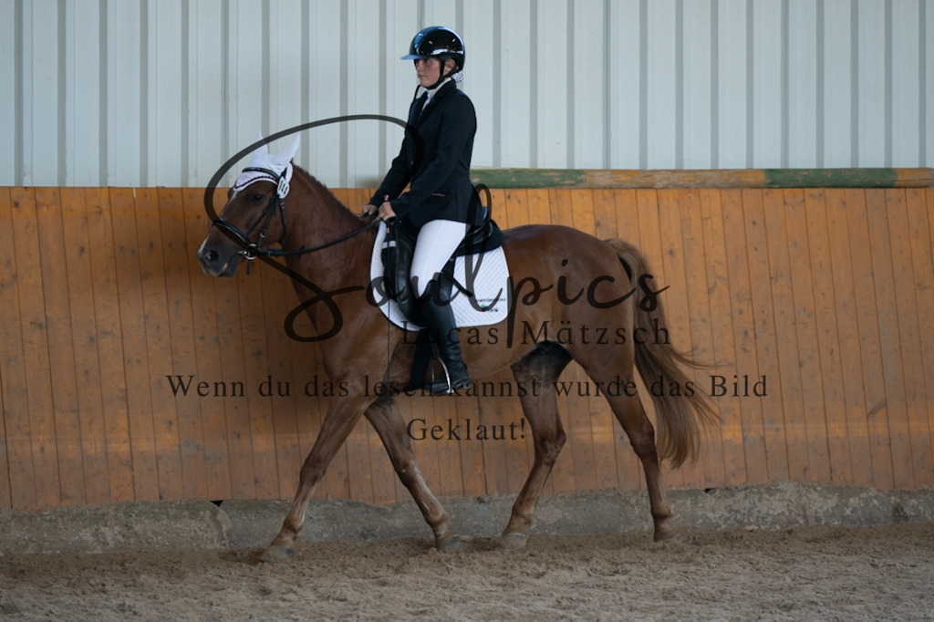 A7V02100 | Turnier/Reitfotograf