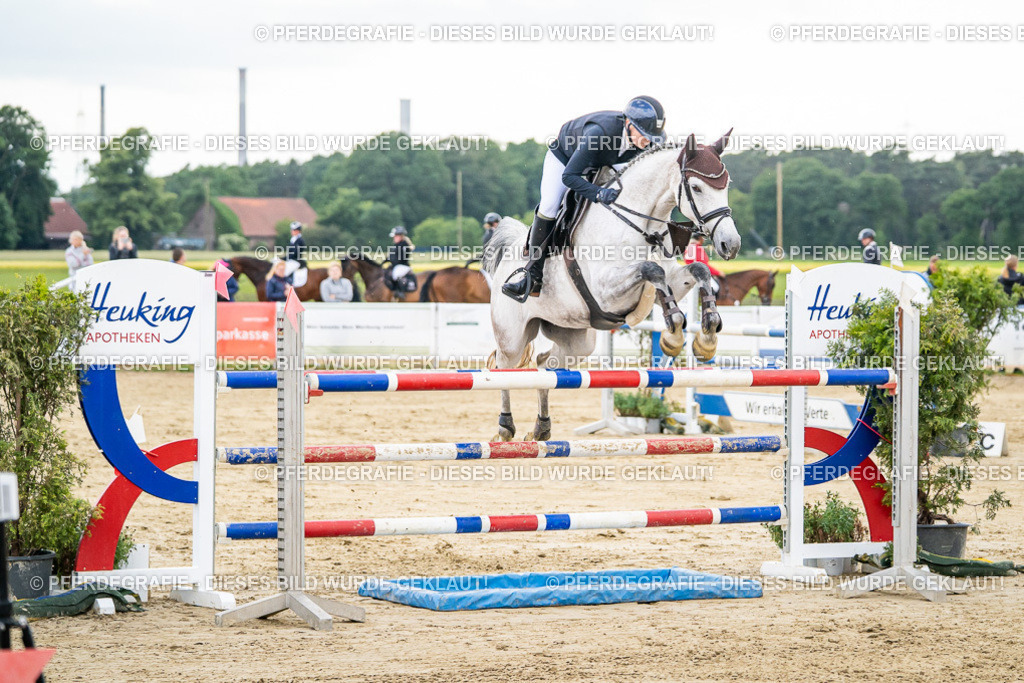 DSC06522 | Pferdegrafie