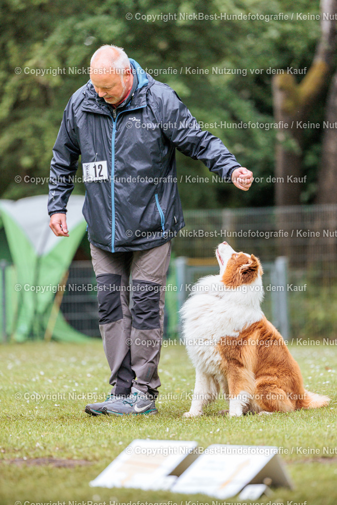 RO-Blumenthal-2026-Nickbest-Hundefotografie-3766 | Dein Hund! Dein Moment! Deine Erinnerungen! Hundefotografie in Bremen Blumenthal. Ich fange die besonderen Momente deines Vierbeiners ein – ob Indoor mit Blitzanlage oder in der freien Natur. Sicher dir dein Moment und dein Termin für eure Erinnerungen.