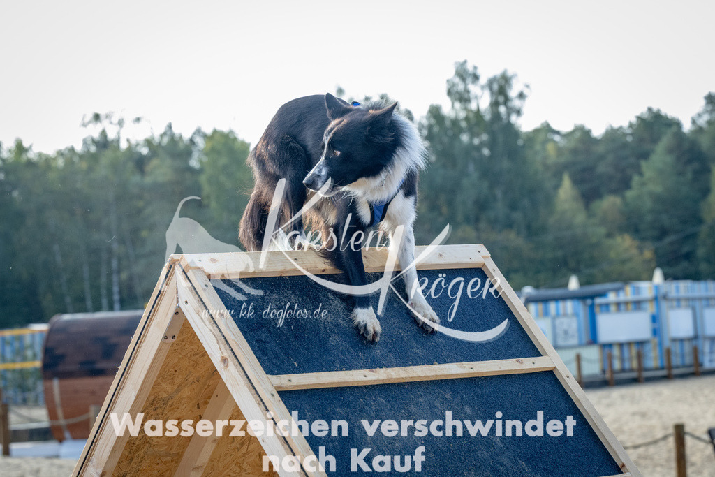 0940_ZZ92637 | kk-dogfotos