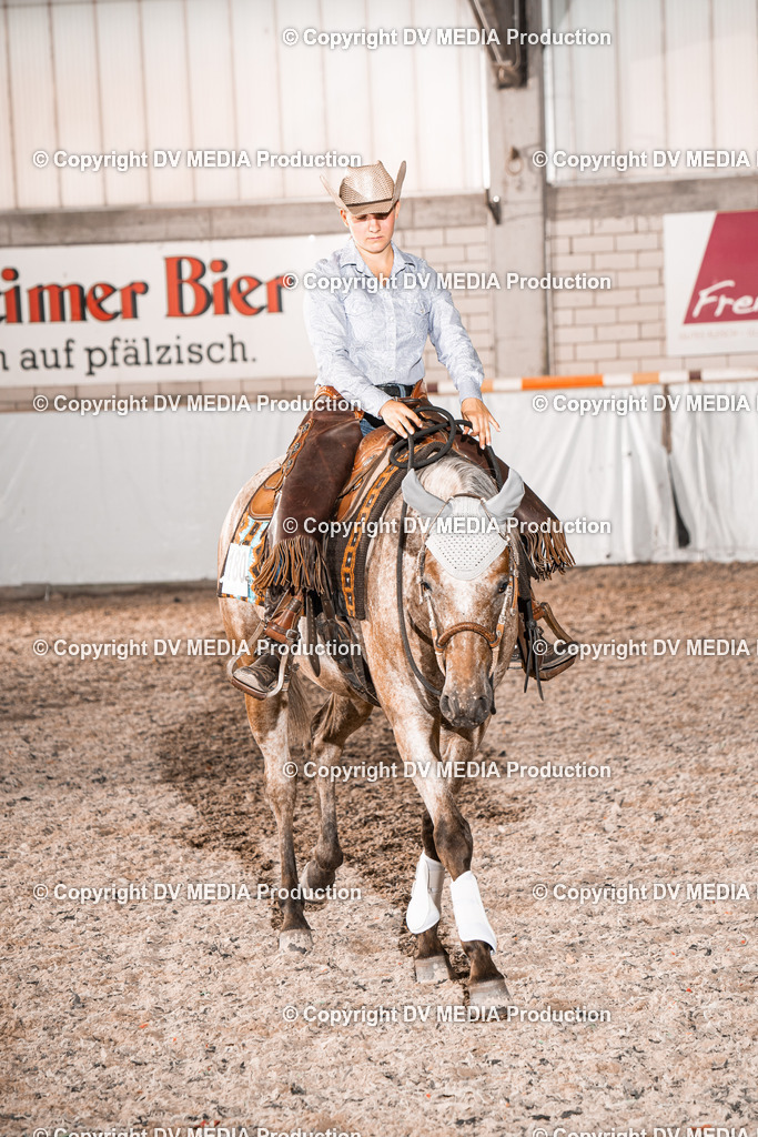 ZH101087 | dv-media-shop - Realisiert mit Pictrs.com