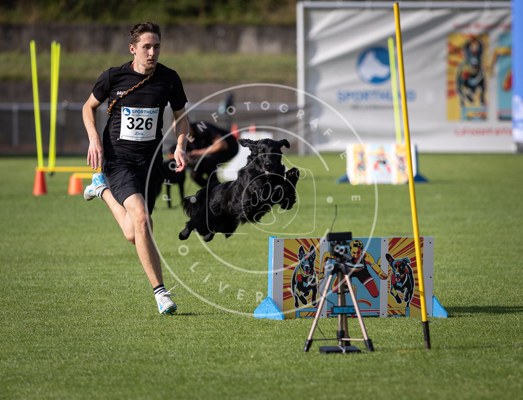 Pfotenfotografie_DV3A2364 | Hundefotografie, Tierfotograf, Pfotenfotografie, Fotoshooting Hund, Hunde Portrait, Hundesport, Hundeportraits, Heideshooting, Hunde, Sportfotograf, Hundefotograf, Turnierhundsport, THS,  - Realisiert mit Pictrs.com