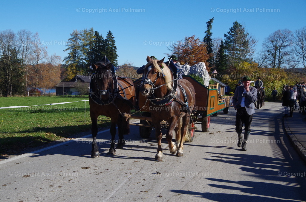 IMGP8488 | fotografiert von Axel PollmannLeonhardi Wallfahrt Benediktbeuern und Murnau, Fronleichnam, Fasching, Landschaft im Loisachtal und Benediktbeuern  - Realisiert mit Pictrs.com