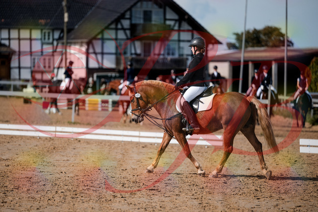 2026_10_03_Siefer-Hof_122027_Z63_43006556 | Professionelle Reitsport-, Turnier- und Eventfotografie von Robert Broda. Galerien mit ausgewählten und bearbeiteten Bildern direkt online ansehen und bestellen.