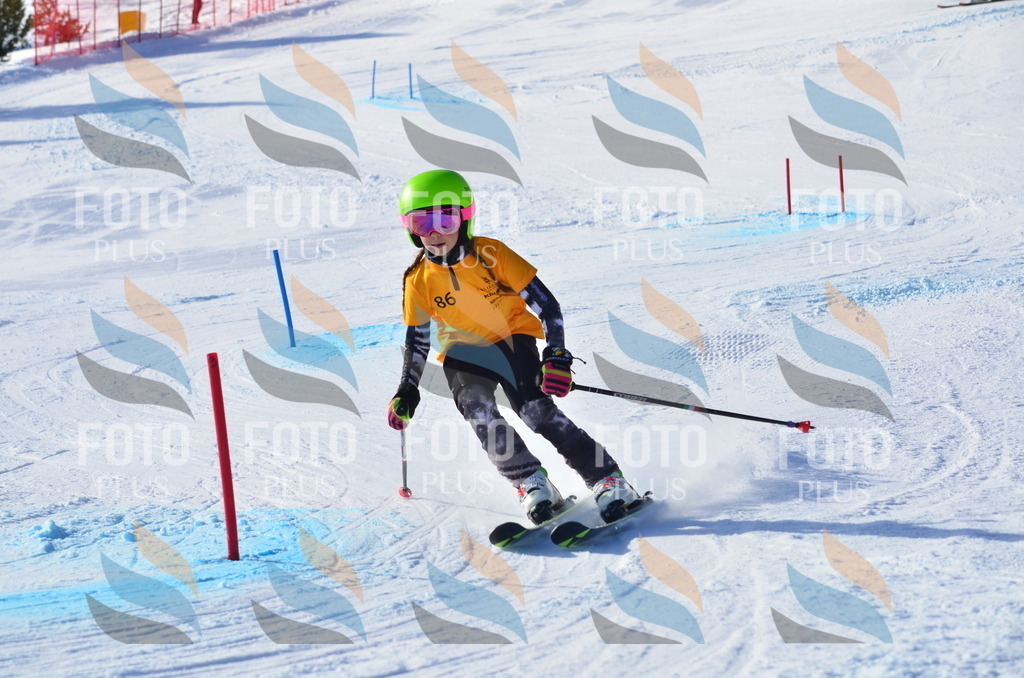 C6029 | holidayphoto