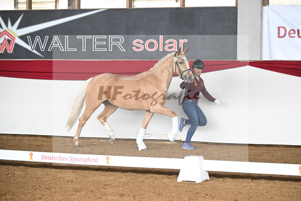 Kat-Nr. 35 Gruendleinshofs Herzbeben v. Golden West_Bauer_16250347 | hf-fotografie - Realisiert mit Pictrs.com