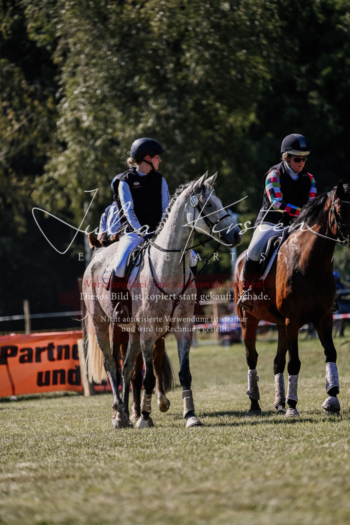 DSC_2568 | Pferde- und Turnierfotografie in Westsachsen. Pferdeportraits, Auftragszeichnungen und intuitive Kunst.