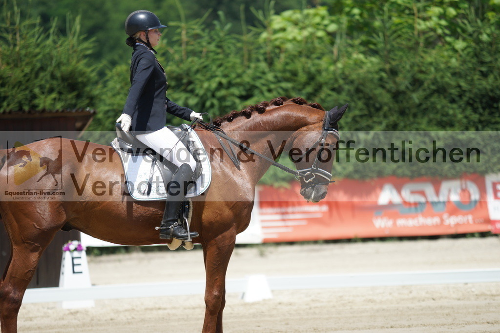 DSC04875 | equestrian-live-com