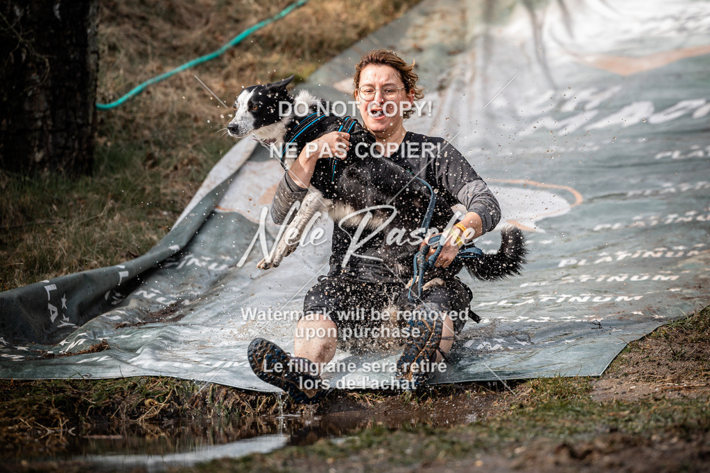 nelerasche_1330-1400_282 | nelerasche