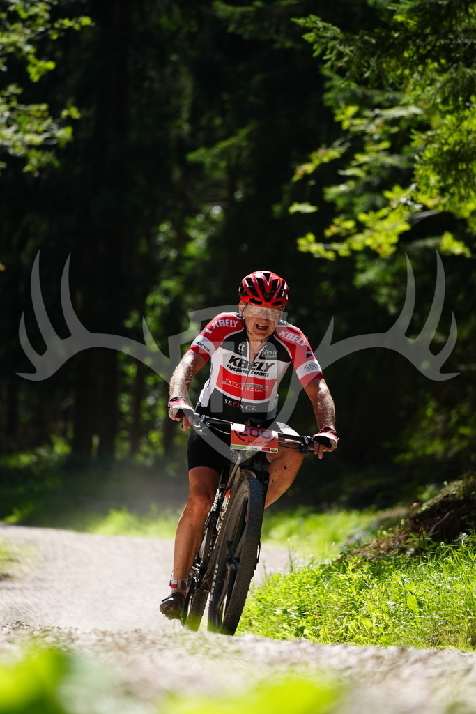 FC102303 | Fotogalerie der Treibjagd im Dunkelwald - Dein MTB Etappenrennen im Erzgebirge - Realisiert mit Pictrs.com