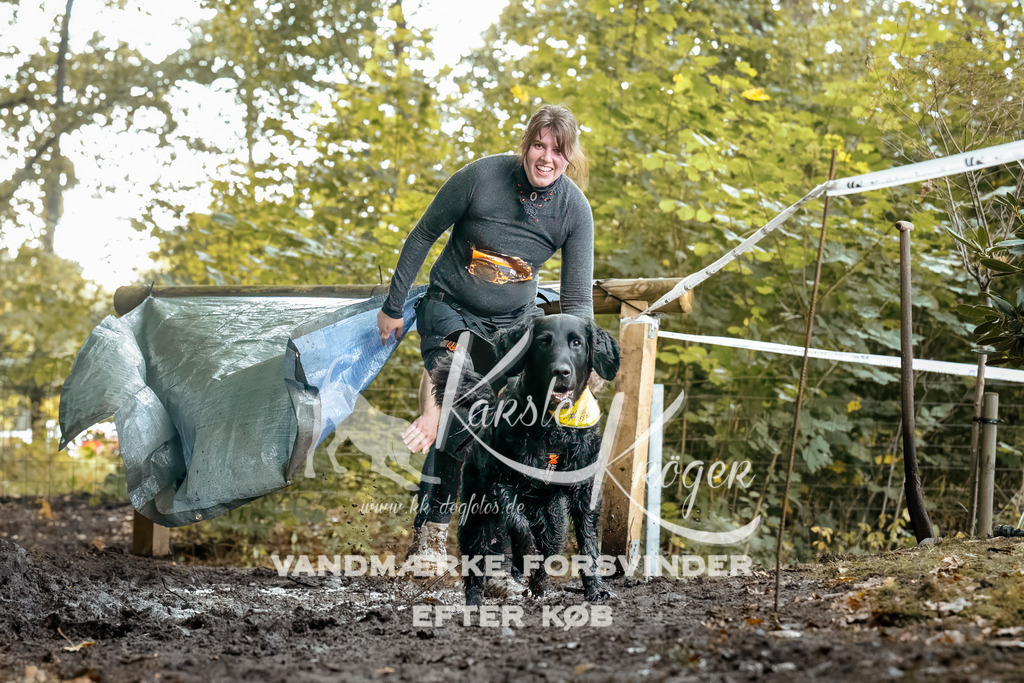 1407DZ6_1015-BearbeitetZ6 | kk-dogfotos