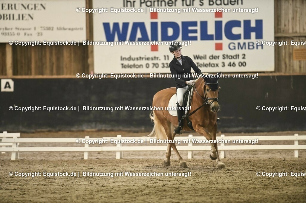 20231029_04_Dressur-WB_0286 | Foto: Thomas Hartig