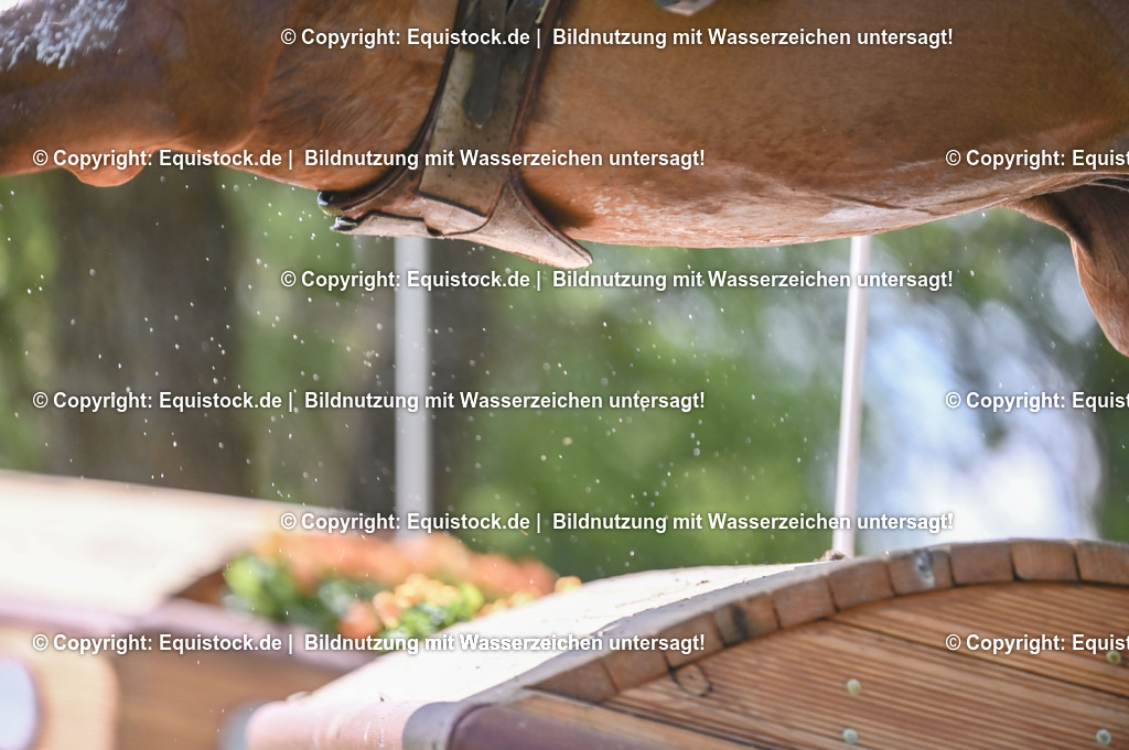 20250517_CCI2_Gelände_1032 | Foto: Thomas Hartig