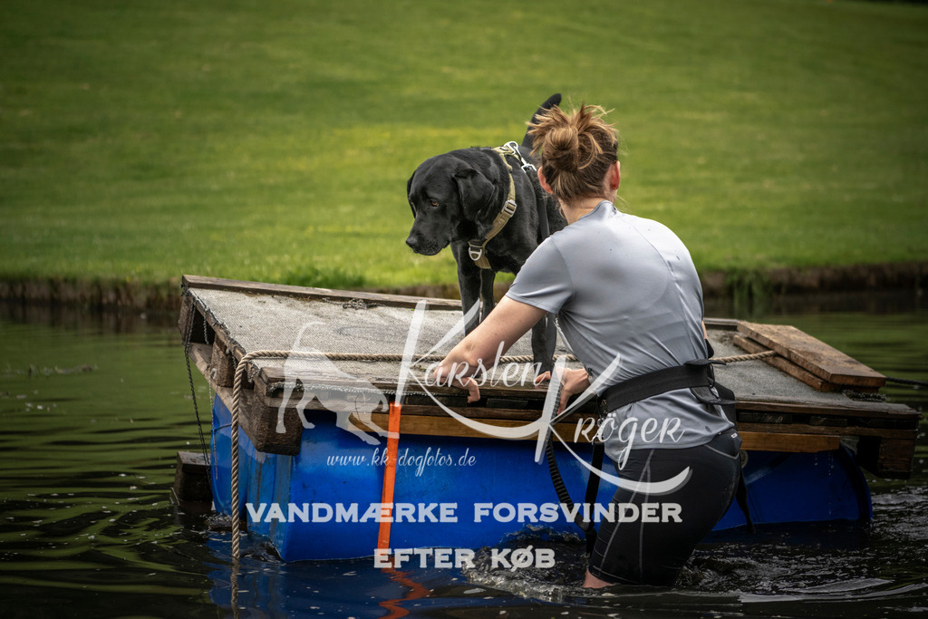 1001_ZZ93581 | kk-dogfotos