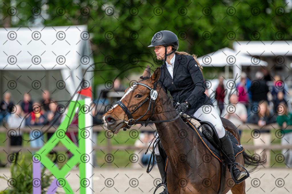 KPT_6557 | andre_photographic