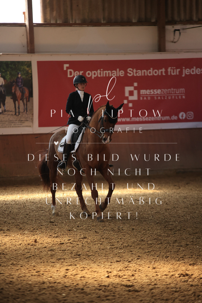 IMGT3371 | pl-fotografie