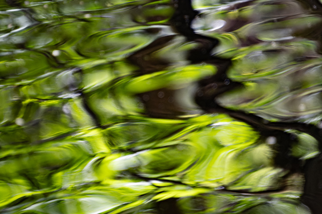 Wellenglas | Glasartige grüne Wellenspiegelung auf der Kuhlake - Realisiert mit Pictrs.com