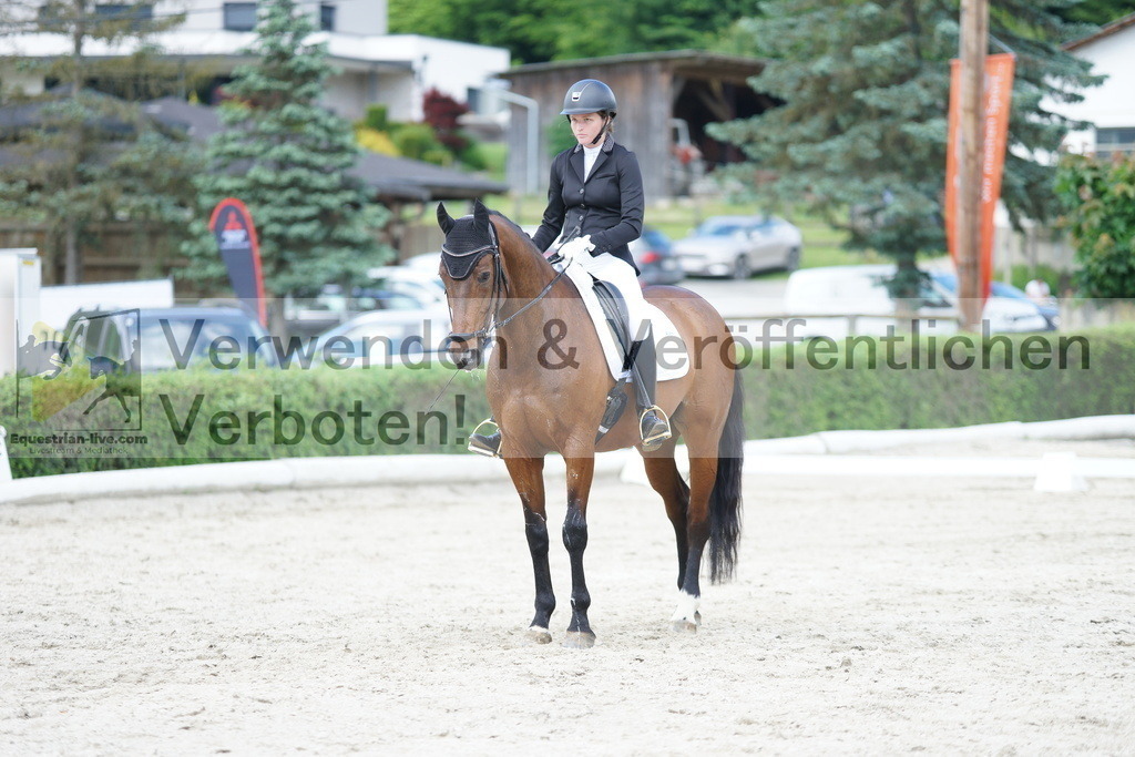 DSC05339 | equestrian-live-com