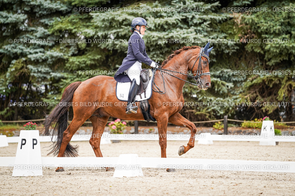 DSC05841 | Pferdegrafie