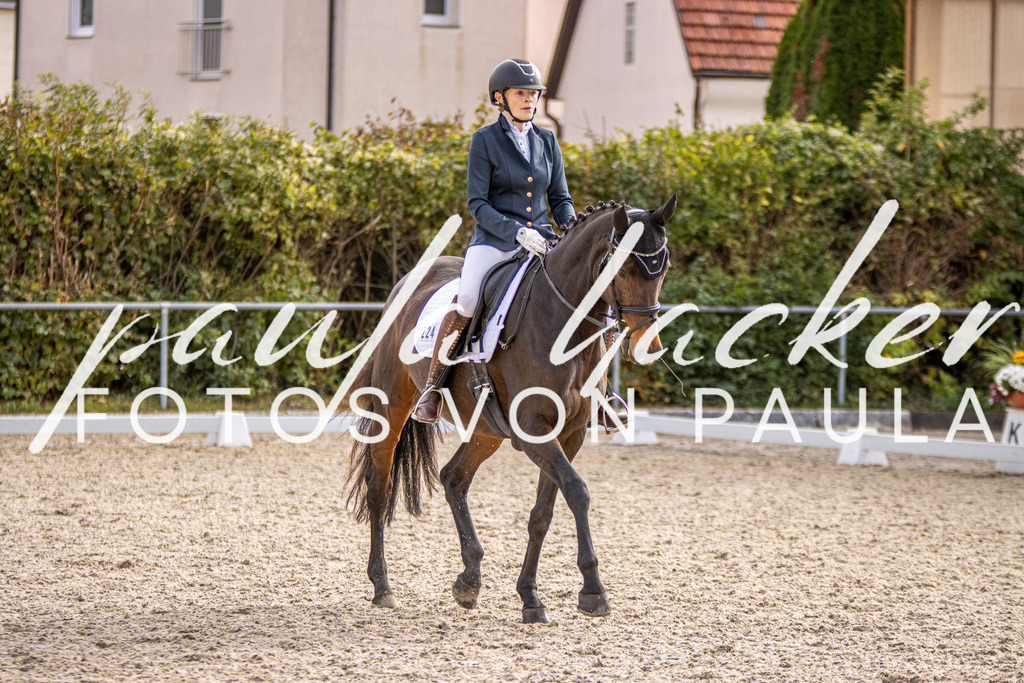IMG_3305 | Erleben Sie dynamische Sport- und emotionale Tierfotografie in Süddeutschland mit Fotos von Paula. Spezialisiert auf Pferde- und Hundefotografie sowie Sportevents. Kontaktieren Sie mich für einzigartige und ausdrucksstarke Bilder Ihrer besonderen Momente.