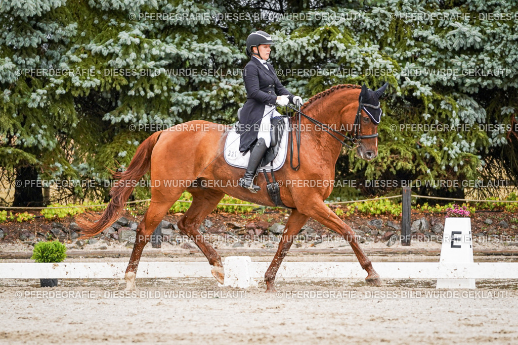 DSC09483 | Pferdegrafie