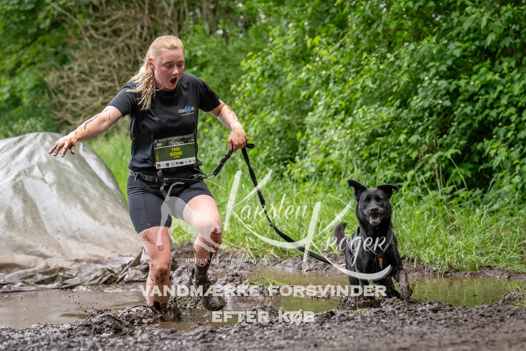 1521_ZZ92932-Bearbeitet | kk-dogfotos