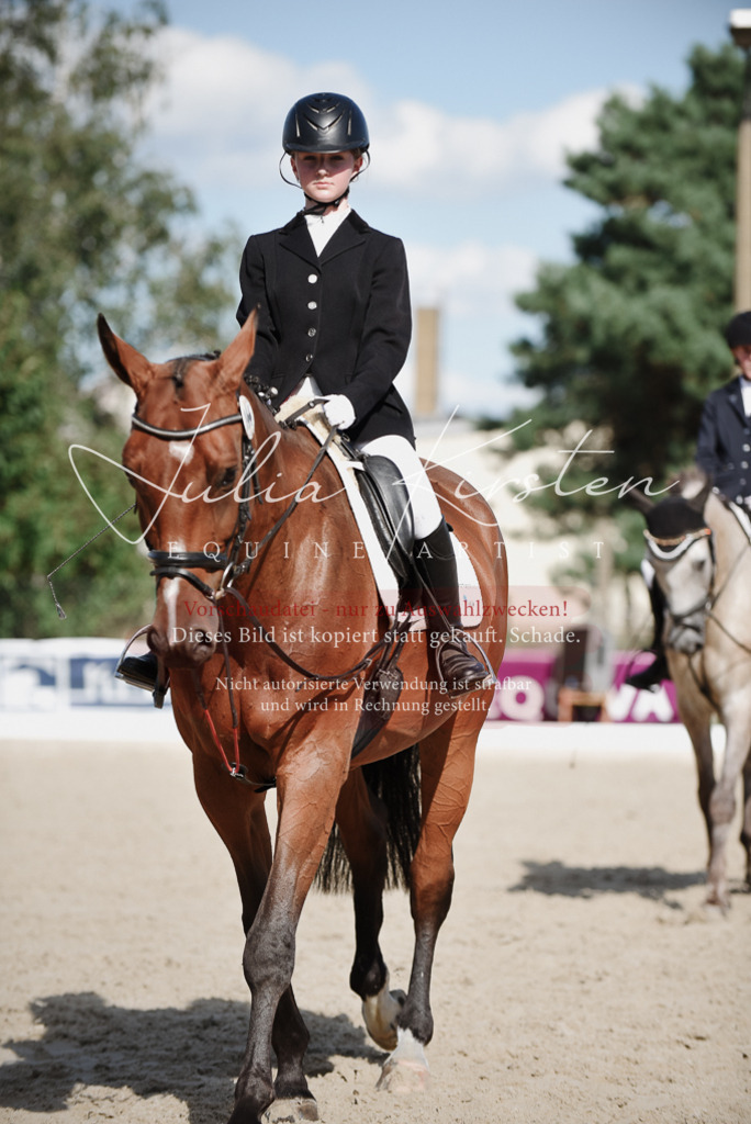 DSC_9979 | Pferde- und Turnierfotografie in Westsachsen. Pferdeportraits, Auftragszeichnungen und intuitive Kunst.