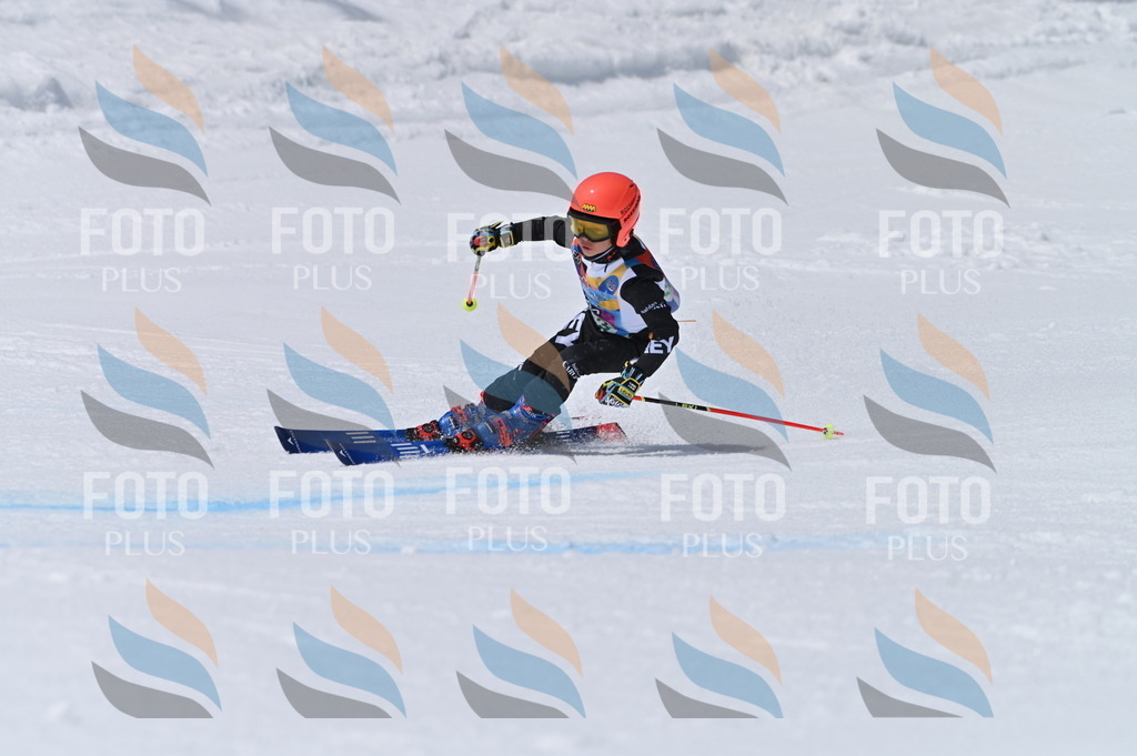 BGV_7173 | holidayphoto