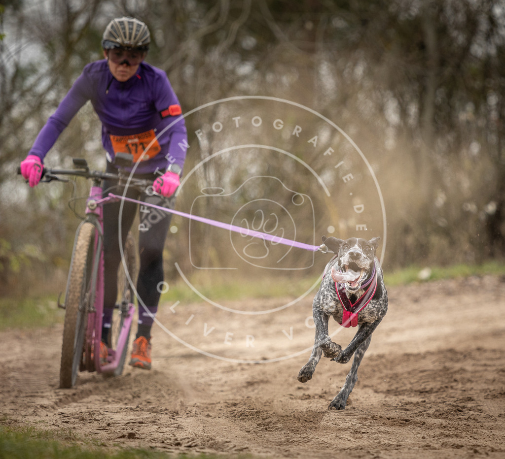 Pfotenfotografie_DV3A9923 | Hundefotografie, Tierfotograf, Pfotenfotografie, Fotoshooting Hund, Hunde Portrait, Hundesport, Hundeportraits, Heideshooting, Hunde, Sportfotograf, Hundefotograf, Turnierhundsport, THS,  - Realisiert mit Pictrs.com