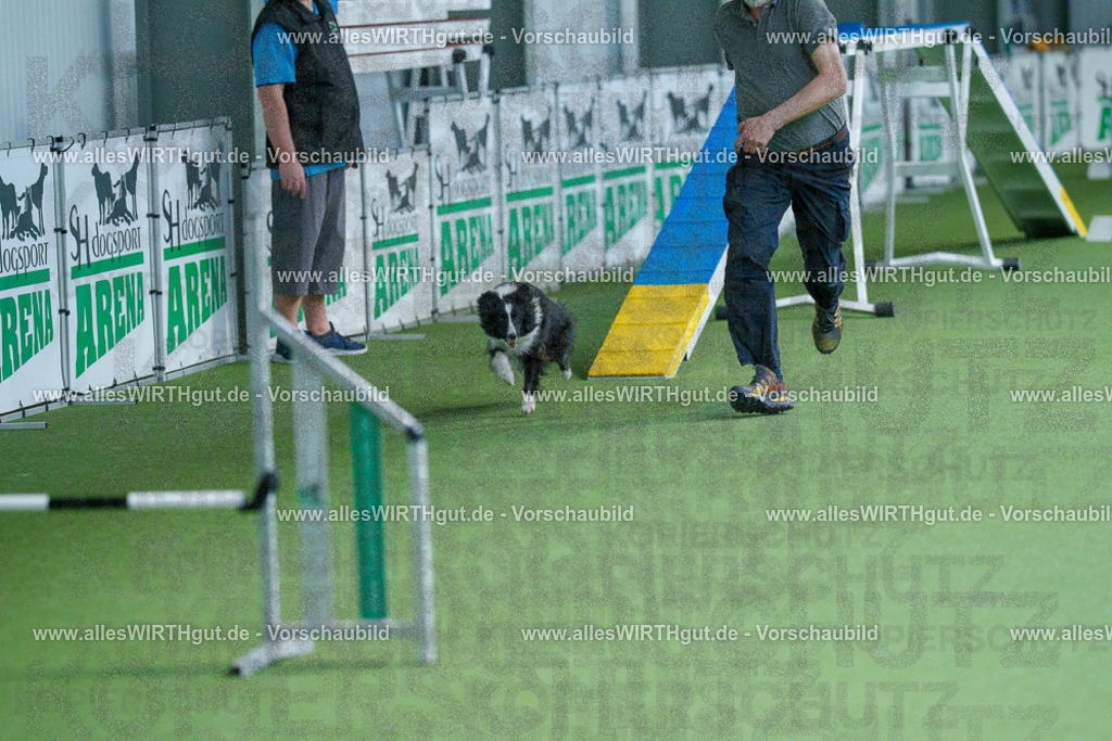@allesWIRTHgut_Tierfotografie - www.allesWIRTHgut.de - 2604251553-7R506395 | Professionelle Tierfotografie in Mönchengladbach von Daniel Wirth (allesWIRTHgut). Liebevolle & natürliche Bilder von Hunden & Katzen für unvergessliche Erinnerungen.
