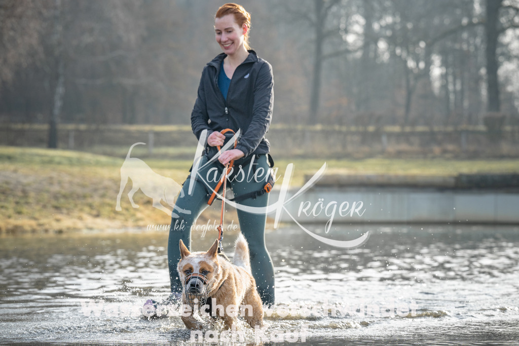 0921_ZZ91186 | kk-dogfotos