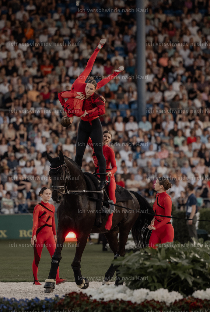 TSCHIO26_PferdundSinfonie_StoibphotographyTSCHIO26_Pferd-Sinfonie_Stoibphotography_AM10976.CR3.jpg | working equitationturnier fotograf videograf stoibphotography marixx film working equitation deutschland reitsport turnierfotografie eventfotografie equestrian events