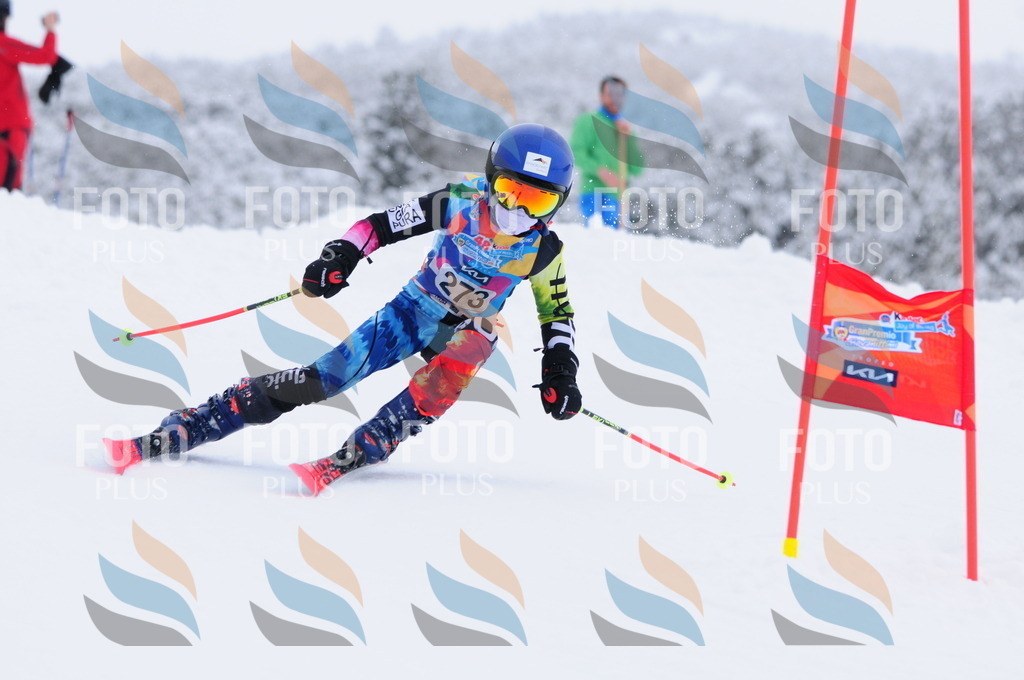 C2879 | holidayphoto