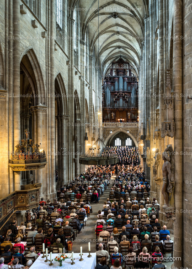_ulrichschrader.com-10 | Stockfoto und Bilderpool mit Bildmaterial aus Deutschland, dem Harz, Halberstadt, Quedlinburg, Wernigerode und weltweit. Qualitativ hochwertige und professionelle Fotos anschauen und kaufen. - Realisiert mit Pictrs.com