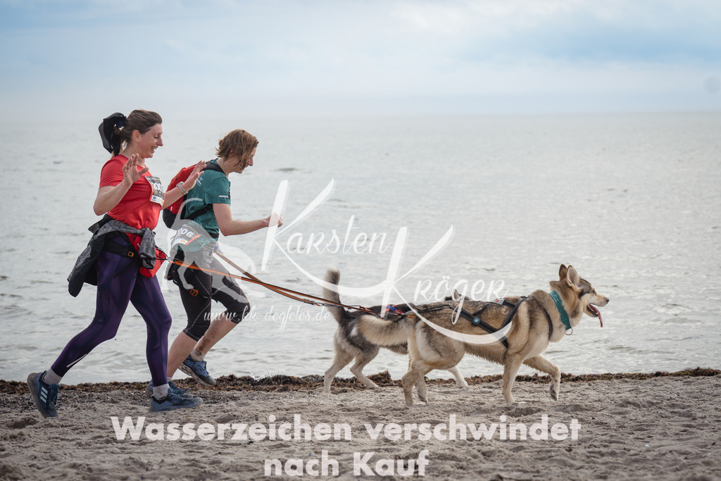 1156_ZZ92850 | kk-dogfotos