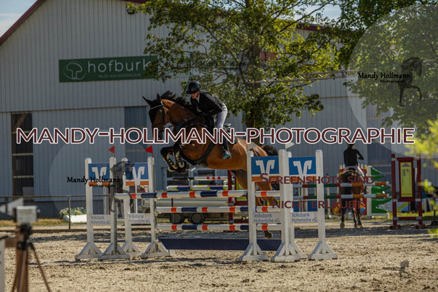 26-7-24 SPF M+-154 | mandyhollmannphotographie