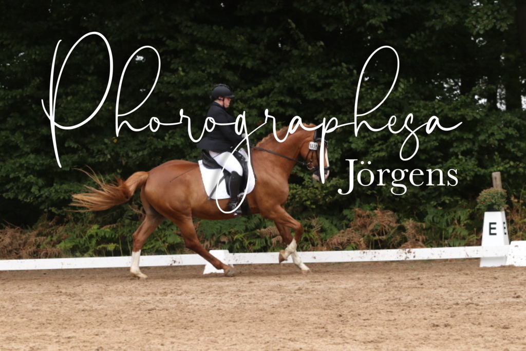 IMG_9637 | photographesa-joergens - Realisiert mit Pictrs.com