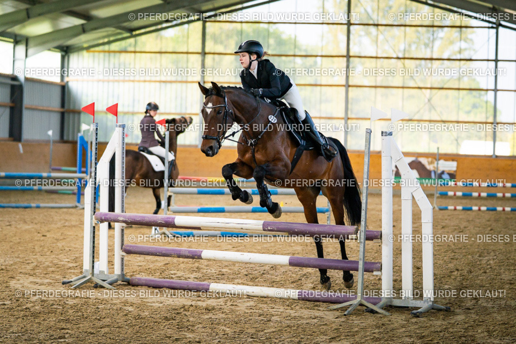 DSC00625 | Pferdegrafie