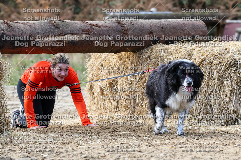 Dog Paparazzi - Strongdog 10-25-5440 | Dog Paparazzi Jeanette Grottendiek Fotografie & Videografie - Realisiert mit Pictrs.com