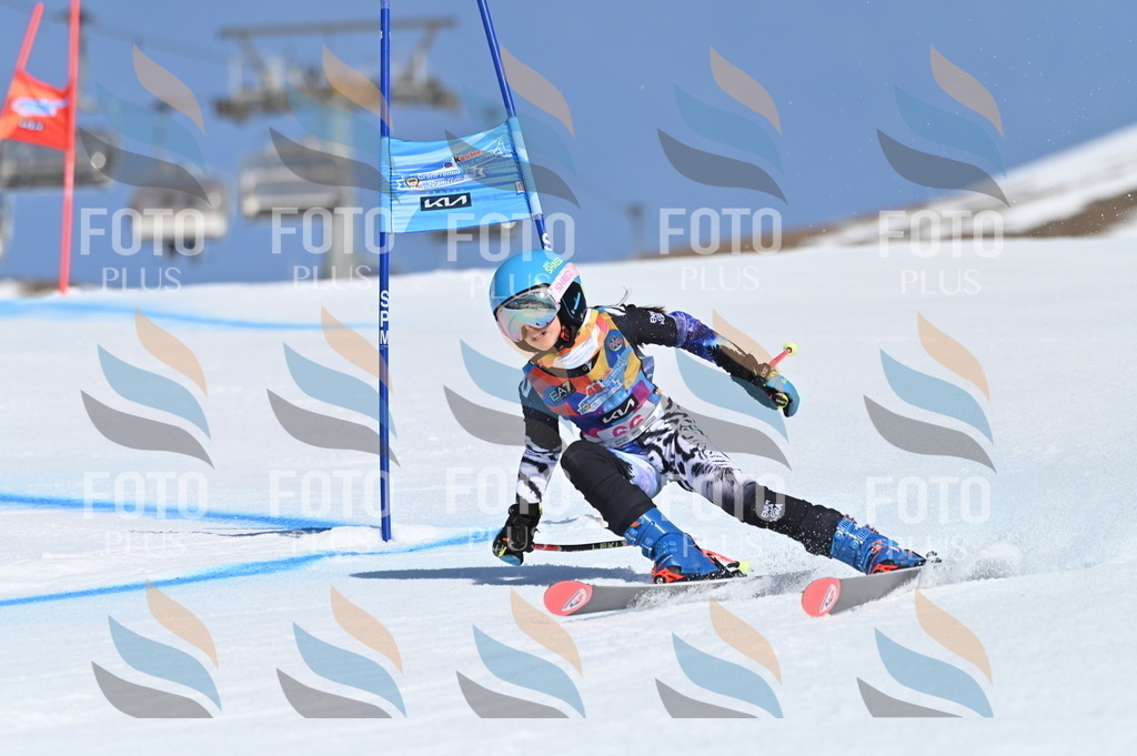 BGV_8835 | holidayphoto