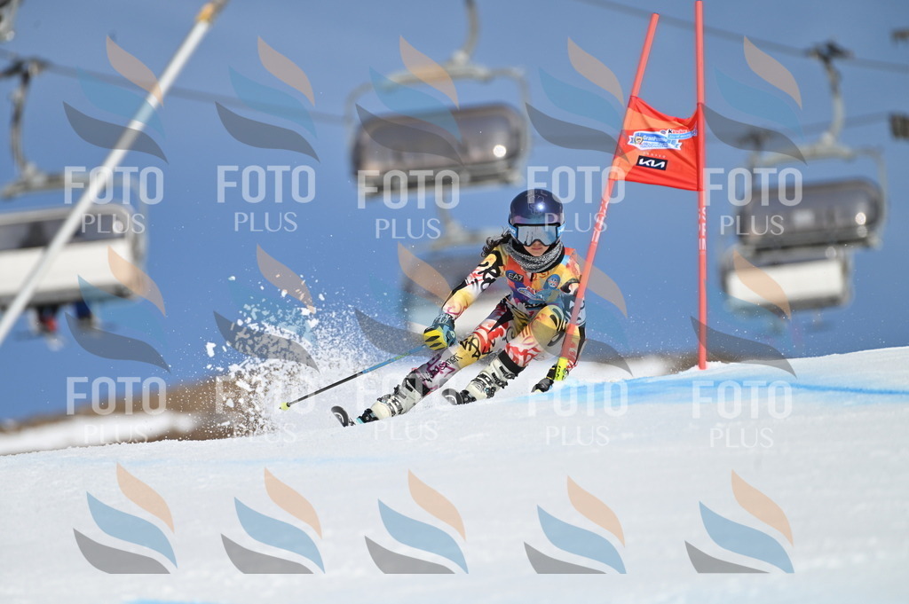 BGV_8971 | holidayphoto